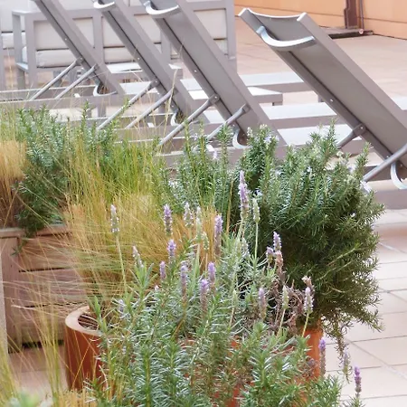 Naitly Poblenou Hotel 4*