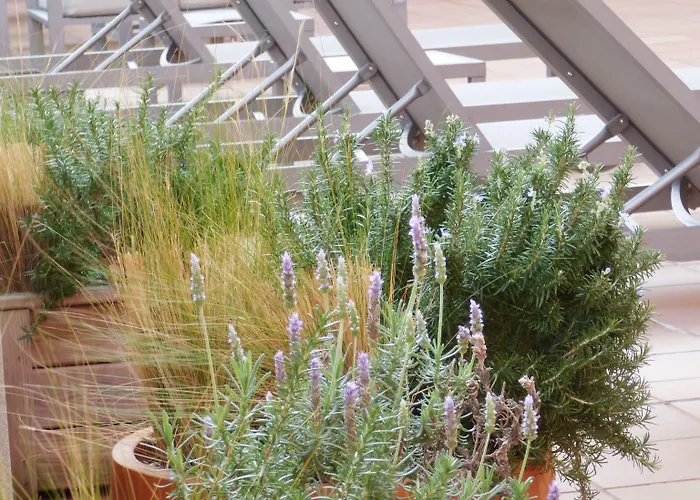 酒店 Naitly Poblenou 巴塞罗那